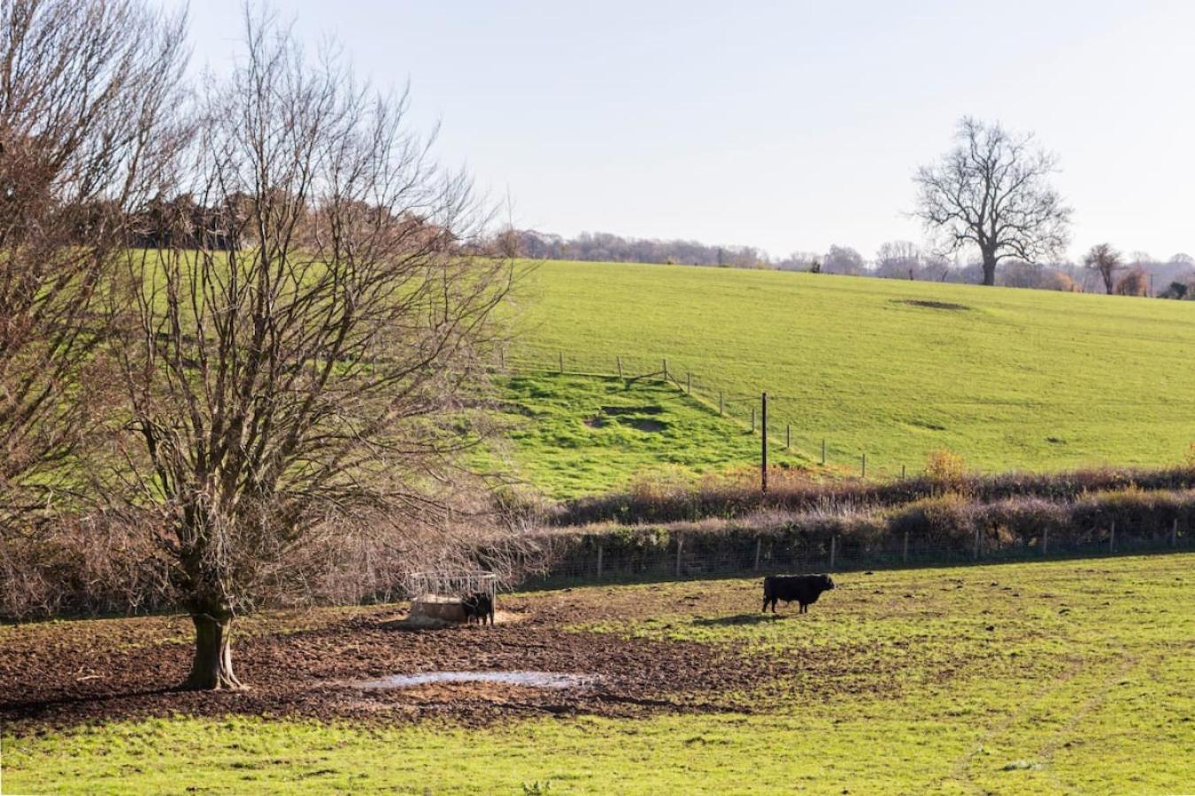 The Retreat, Sauna & Hot Tub, Charming & Cosy Gem Blandford Forum Exteriér fotografie